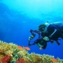 10 dicas para fotos subaquáticas